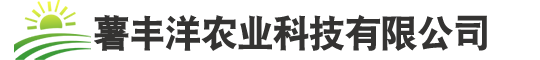巴林左旗薯豐洋農業科技有限公司